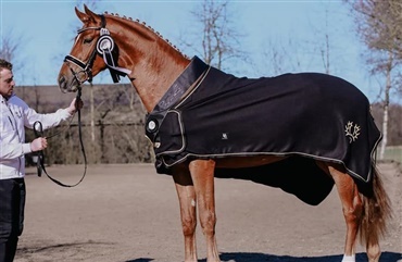 &Aring;rets hingst i Trakhener blev Party Look
