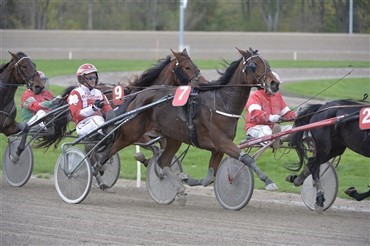 V&aelig;ddel&oslash;bssporten mister 30 mio