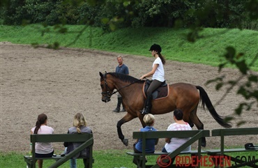 Tag tr&aelig;nerkursus og bliv bedre kl&aelig;dt p&aring;