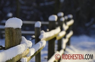 Vinterens udfordringer for hesteejerne 