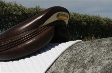 Hvilken type sadelunderlag er mest st&oslash;dabsorberende?