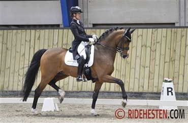 DM-debut til Anne-Mette og Donkey Boy