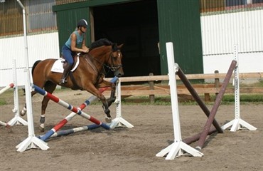 Udvikling af springteknik og -kraft i serier