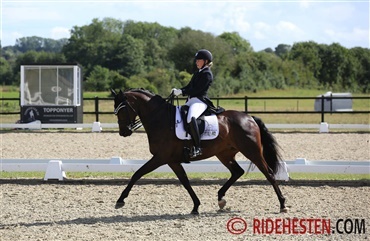 Sanne Glargaard ansat ved Stutteri G