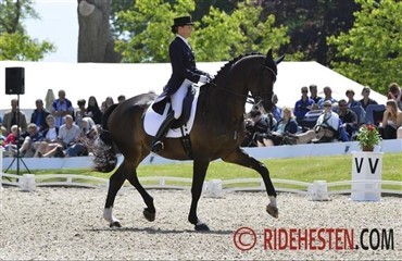 83,75% til Mikala og My Lady