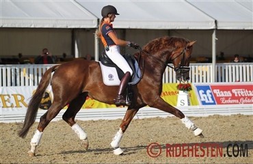Den kendte hingst Charmeur skifter rytter