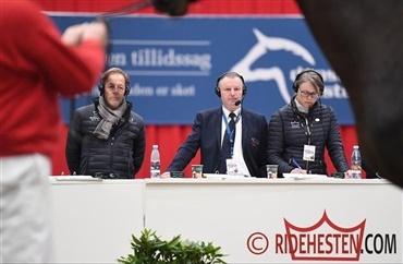 11 tre-&aring;rige springhingste er godkendt