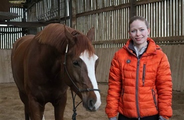 Signalforvirring = stresset hest (video)