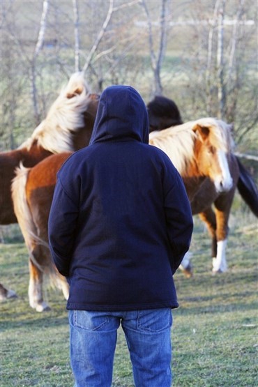 Seksuelle overgreb p&aring; heste - i Ridehesten
