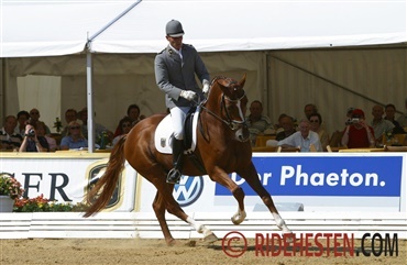 Dressurhingsten Worldly blev 24 &aring;r