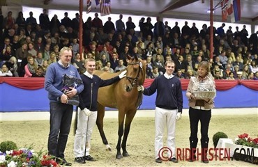 2. reservesieger til Blue Hors