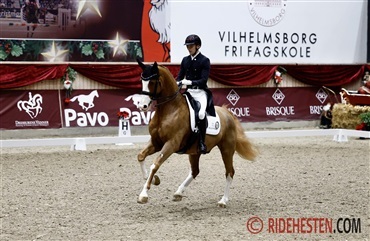 Internationale starter - uge 7