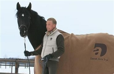 Endnu en hingst til Joachim Thomsen