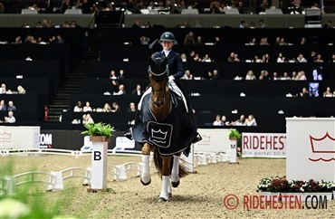 FEI har godkendt proportioner for Herning