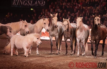 Oplev Ben Atkinston i Herning (video)