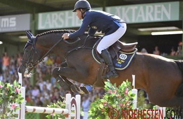 Casall Ask er udn&aelig;vnt til Best Horse in the world