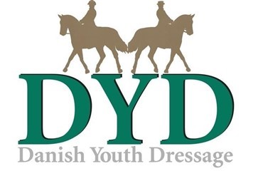 Fokus p&aring; ungdomsdressur