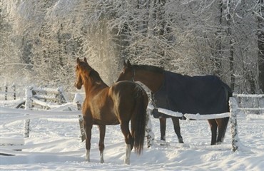 S&aring; har sneen igen ramt Danmark!