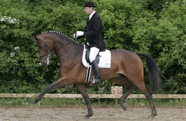 Pacito Vedstedholm over 70%