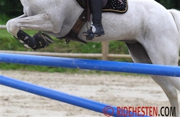 Langagerg&aring;rd vil ride for velg&oslash;renhed