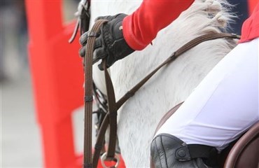 Ponylandsholdet klar til Wierden