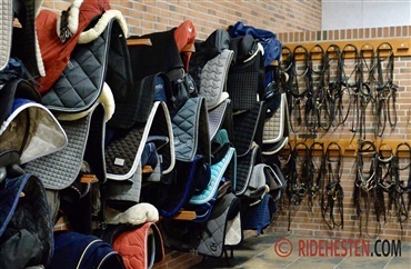 Sj&aelig;llandske rideklubber ramt af indbrud