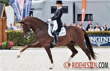 Vitalis sejrede i hingsteklassen