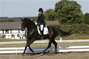Landsst&aelig;vne i Aalborg