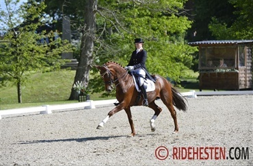 Oldenburgerhoppen Rebelle er d&oslash;d