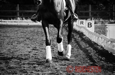 S&oslash;vn og Hvile