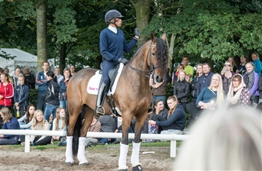 Rideudstyr og show ud over det s&aelig;dvanlige