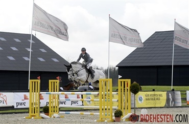 Udend&oslash;rss&aelig;son skudt i gang ved Absolute Horses