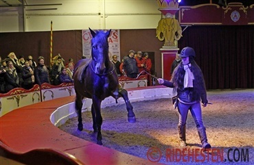 Video: Stort hestearrangement i cirkusland 