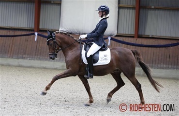 ECCO Cup Jackpotrunde i Solr&oslash;d