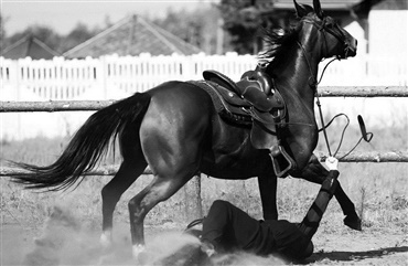 Vi s&aelig;tter fokus p&aring; rideulykker og sikkerhed til hest