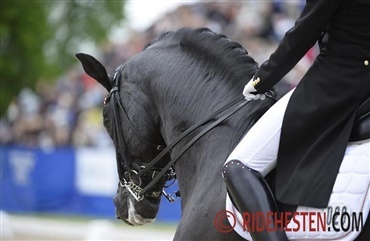 Danmark skal have et Nationalt Elitesportscenter
