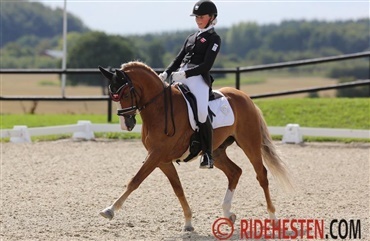 DM-guld til Slagelse Rideklub