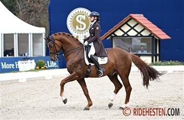 Valverde og Springbank i finalen
