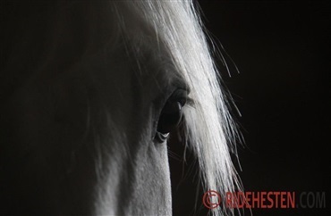 Ridr er lukket ved &aring;rsskiftet