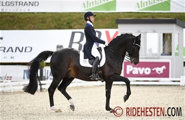 Disse ryttere skal ride i Aachen