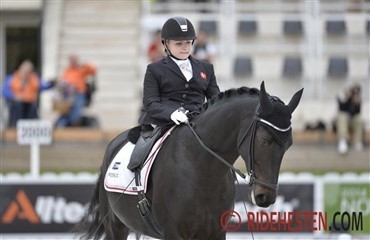 Ingen medaljer i paradressur - endnu