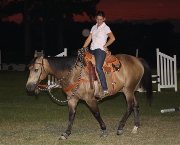 Fra Grand Prix heste til lokal 4-H Champion