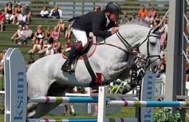 Stockdale om springrytterens s&aelig;de