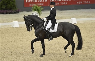 Hjemmebanesejr ved World Cup