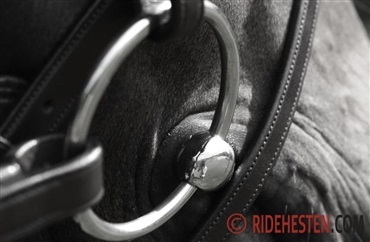 Sk&aelig;rpet brug af skarpere bid i 2026