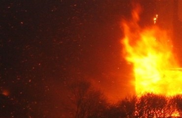 F&oslash;l aflivet efter brand
