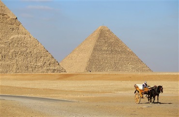 LGCT vil hj&aelig;lpe heste i Giza