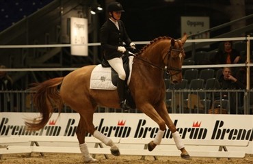 Dressur-unghesteschampionatets f&oslash;rstedag