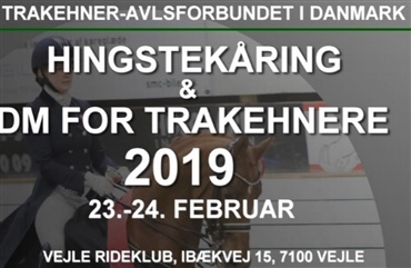 Trakehner-weekend i Vejle