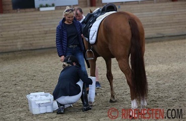 For&aelig;ldrenes rolle